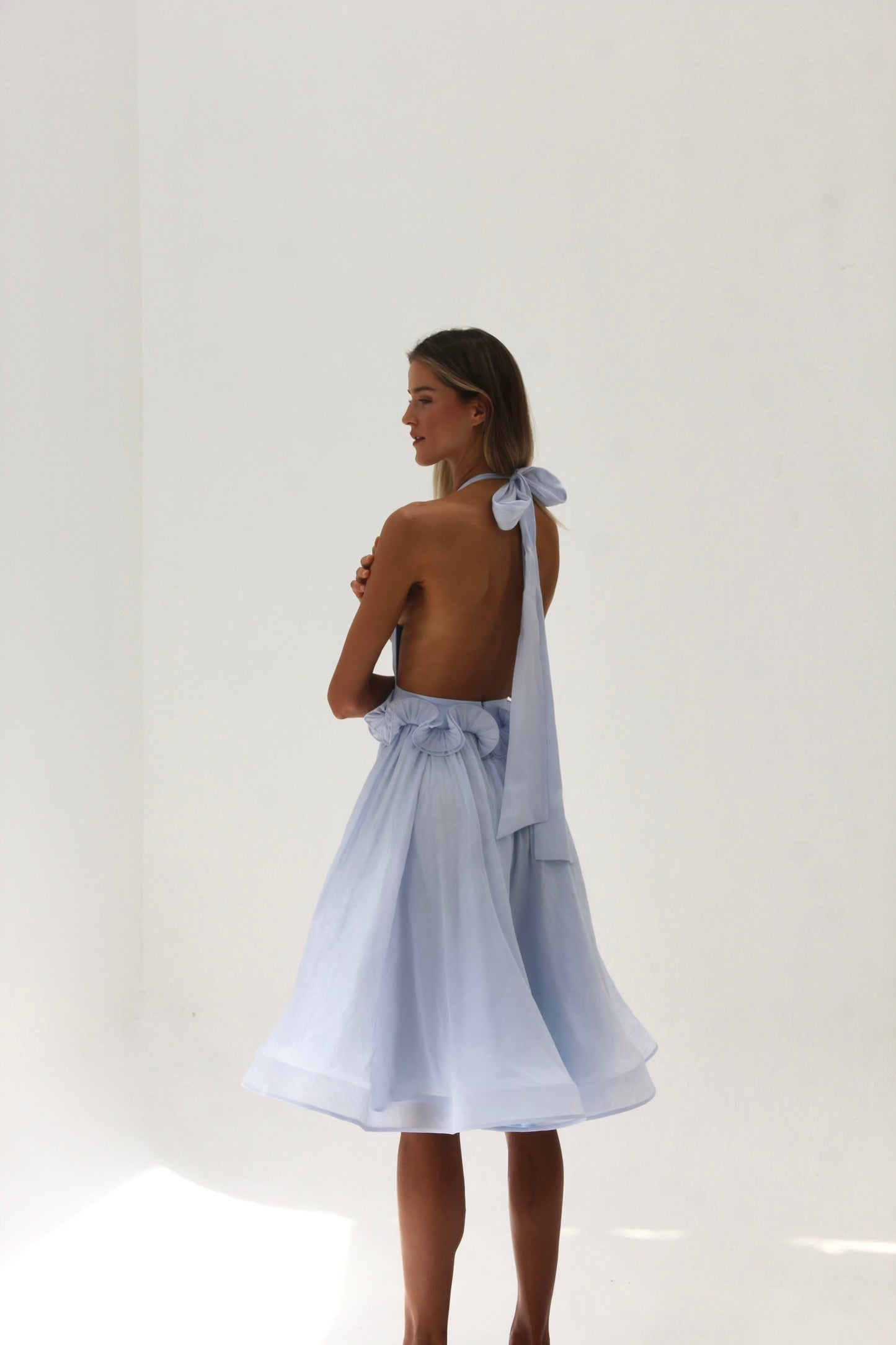 Delphine bleu
