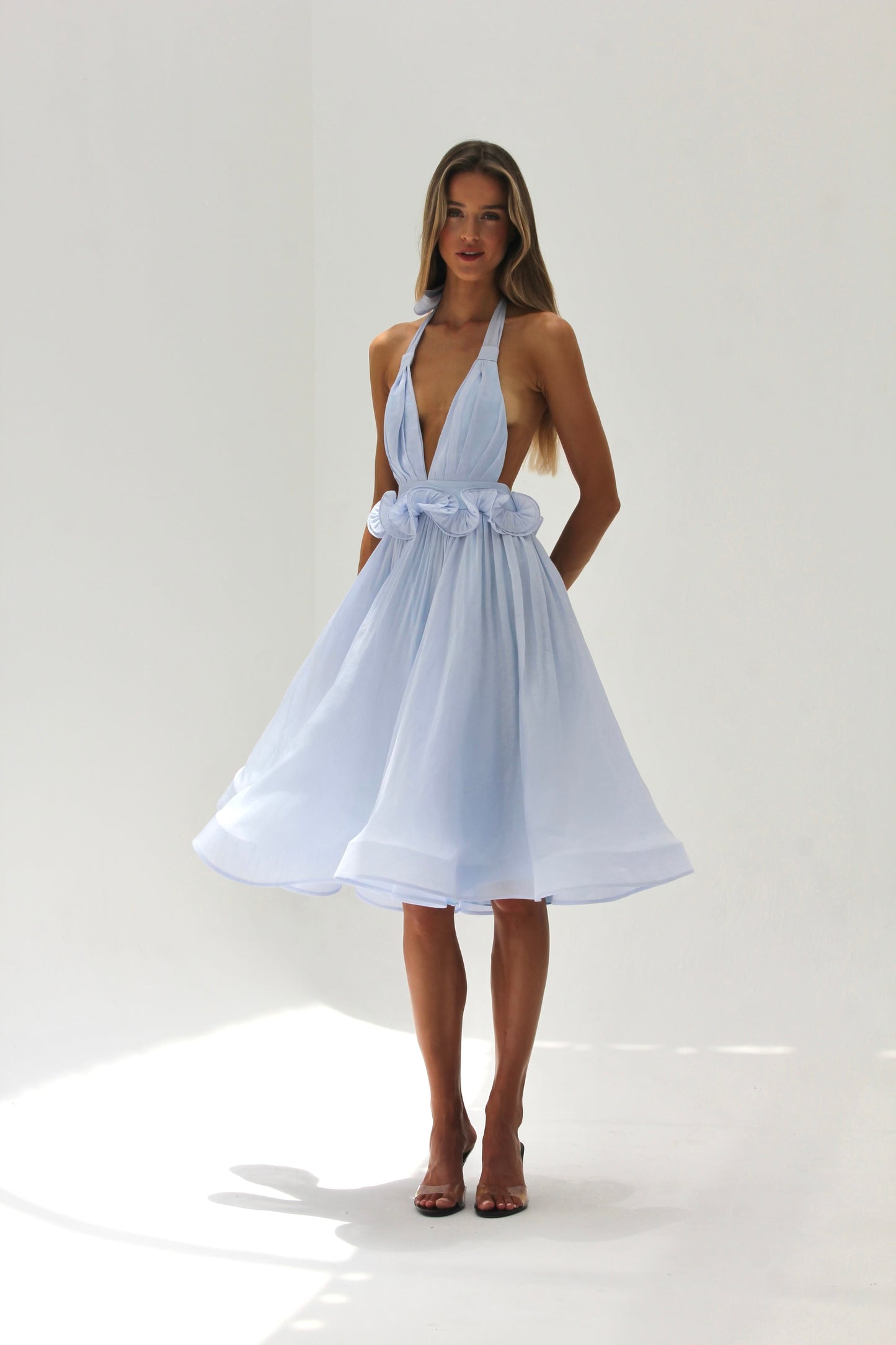 Delphine bleu